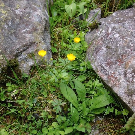 Landhaus Tirol Zellberg Luaran gambar