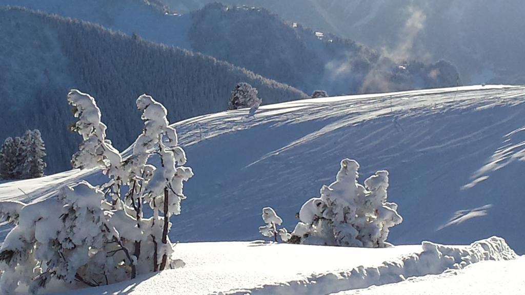 Landhaus Tirol Zellberg Luaran gambar
