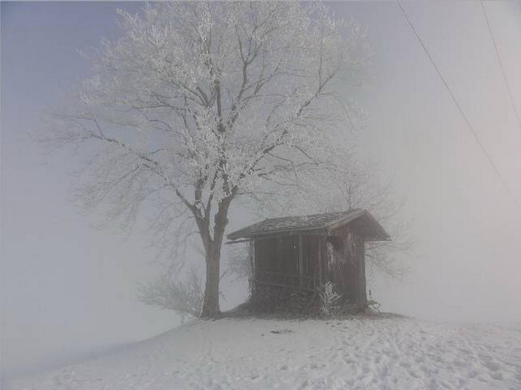 Landhaus Tirol Zellberg Luaran gambar